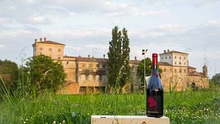 Beliebte Weinprobe und Tour im Tenuta Uccellina