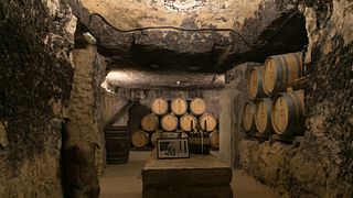 Besuch des Weinguts aus dem 16. Jahrhundert + Weinprobe | Bodegas Lecea