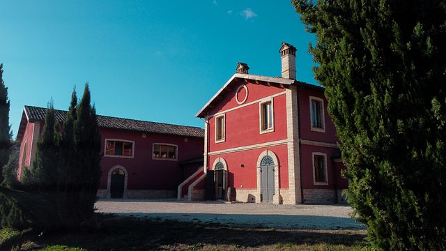 Uncover Marche Wine & Vineyard Escape at D'Erasmo