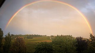 Vinprovning och rundtur på Cascina Lana