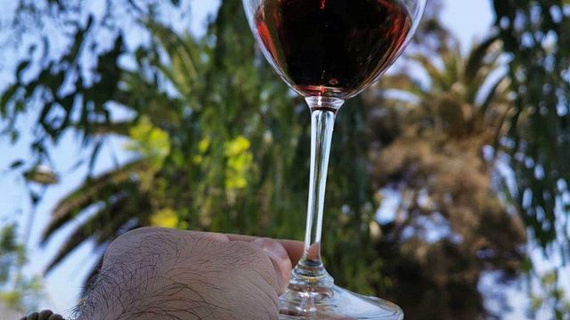 Aconcagua Premium Wine & Culture Journey