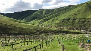 Washington Wine Adventure at Wawawai Canyon