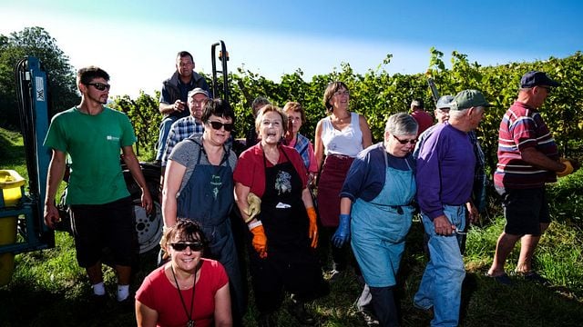 Cata de vinos y visita guiada a Kientz René Fils