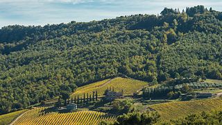 Hinter dem Etikett – Weinprobe und Tour