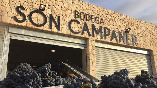Wine Tasting and Tour at Bodega Son Campaner