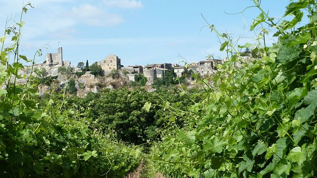 Domaine De La Croix Blanche