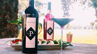 Degustação de vinhos e tour na Vinícola Peltier