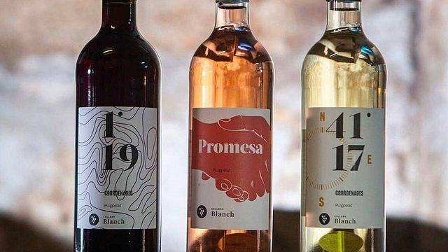 Degustação de vinhos populares e tour em Cellers Blanch