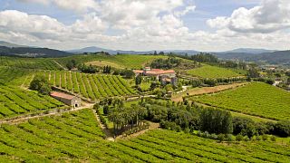 Ruta del Vino Albariño y Gastronomía
