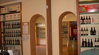 Degustação de vinhos e tour na Terre di San Ginesio srl