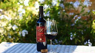Dégustation de vins et visite du Rio Maggio