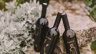 Degustazione di vini Deluxe dell'Adriatico presso l'azienda vinicola Krolo