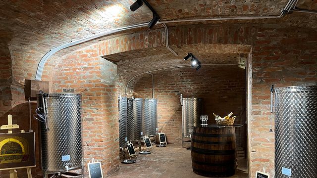 Cata de vinos con tabla de quesos y delicias georgianas