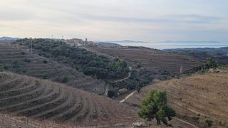 Private Priorat-Tour ab Barcelona