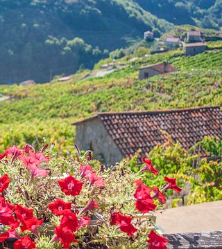 Recorrido privado por la Ribeira Sacra