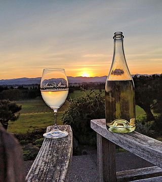 Dégustation de vins et visite des vignobles d'Anne Amie