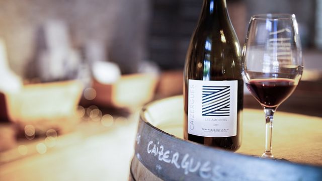 Vinprovning och rundtur på Domaine Les Caizergues