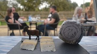 Degustazione di vini e formaggi di Maiorca