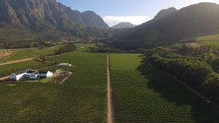 Degustazione di vini Platinum presso Holden Manz Wine Estate