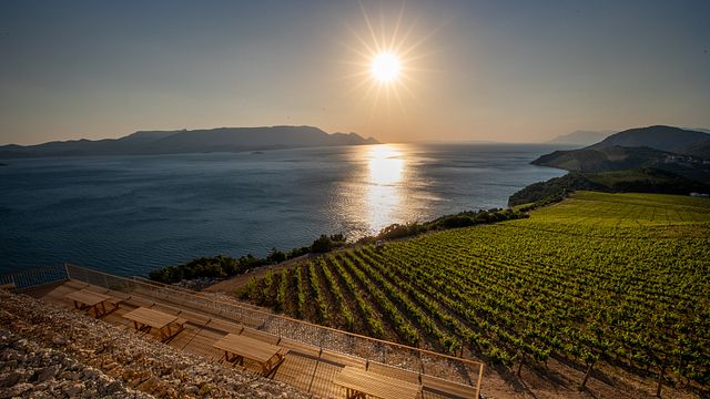 Degustazione di vini Adriatic Horizon