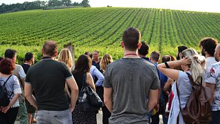 Cata de vinos y visita guiada en Tenuta Arabona