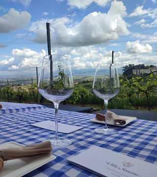 Dégustation de vins Evolution