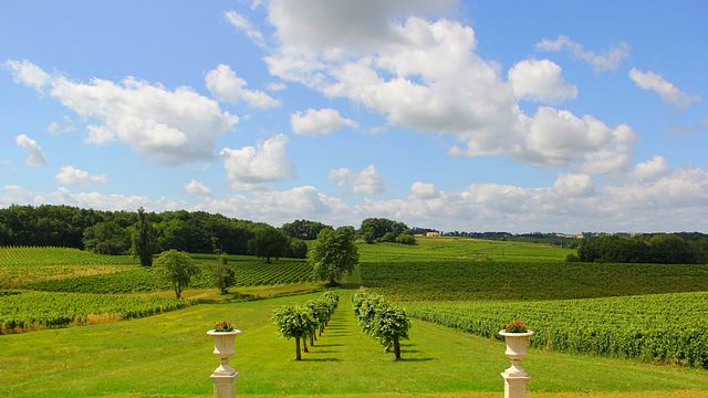 Degustação de Vinhos no Château de l'Estang
