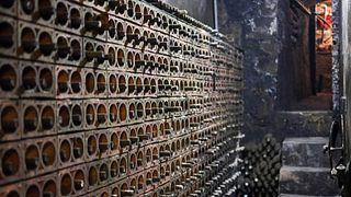 Dégustation de vins et visite chez Petrolo