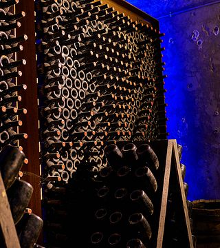 Apollonio 1870: A Legacy of Winemaking