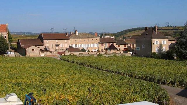 Domaine Luquet: A Family Legacy Since 1878