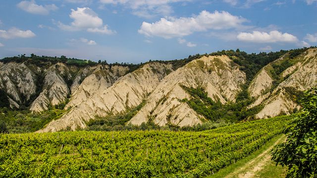 Visita e degustação do nosso vinho orgânico com produtos locais na Società Agricola Bulzaga