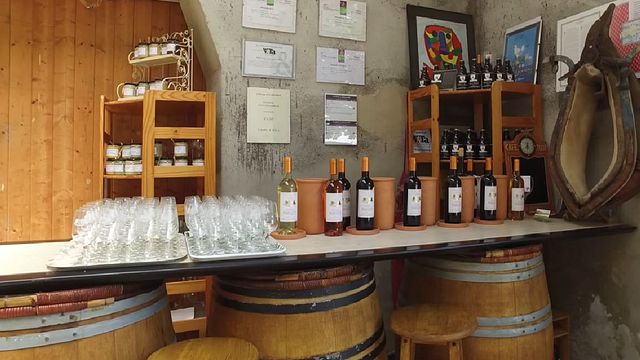 Degustazione di vini e visita allo Château Maresque