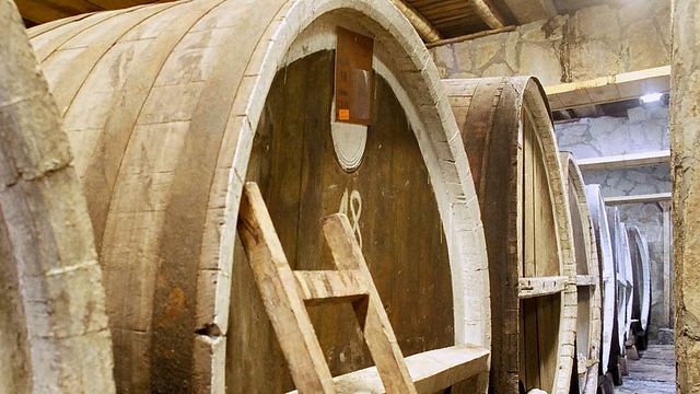 Weingutbesichtigung und Weinprobe in der Villa Vinifera