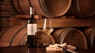 Cata de vinos y visita guiada a la bodega Giannikos
