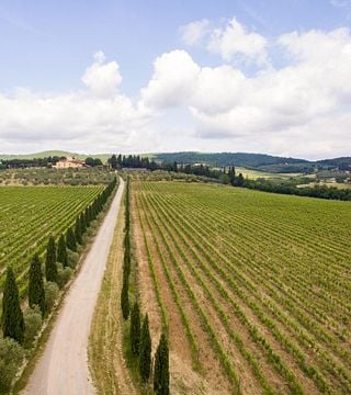 Experiência de vinho entre as tradições e a inovação do Chianti na Fattoria Pagnana