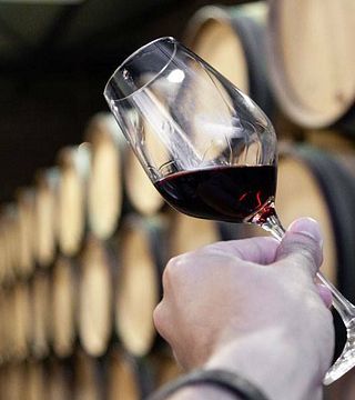Degustação de vinhos e tour na Noemí Wines