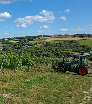 Winnica Wieliczka - A Unique Vineyard Experience