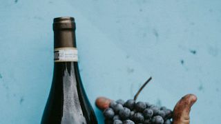 Wine Tasting and Tour at Fratelli Calorio