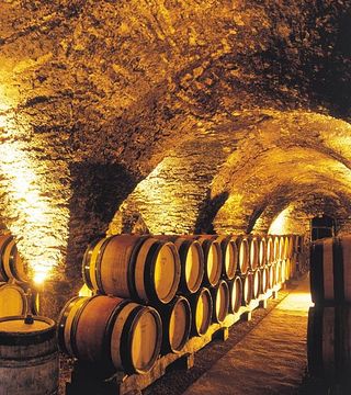 Dégustation et visite de vins à la Maison Jaffelin 5 vins