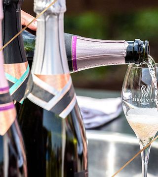 Dégustation de vins et visite du domaine viticole Ridgeview