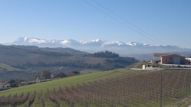 Cantina Ortenzi