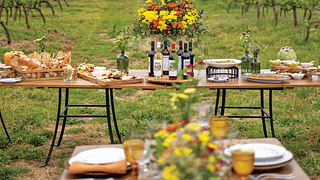 Visite du vignoble, Cas'Amaro et dégustation de vins