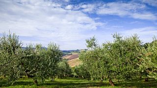 Degustazione e visita al Conventino Montecoccardo