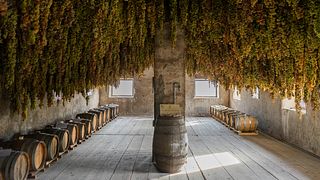 Veneto Wine Journey: Menti's Heritage Tasting & Tour - Full Range