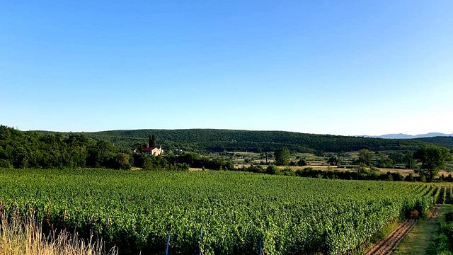 Degustazione di vini deluxe presso l'azienda vinicola Krolo 