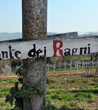 Monte dei Ragni di Zeno Zignoli