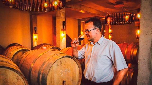 Rheinhessen Organic Wine Tour & Tasting at Weingut Seck