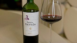 Aconcagua Premium Wine & Culture Journey