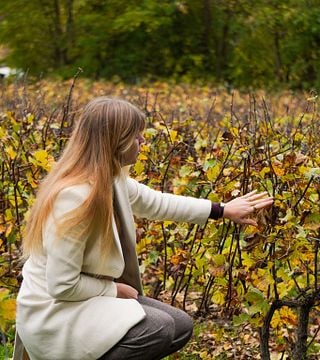 Veuve Clicquot, vigneron familial et déjeuner rémois