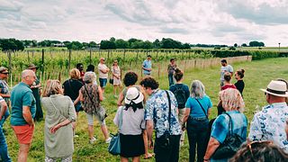 Private Tour and Tasting